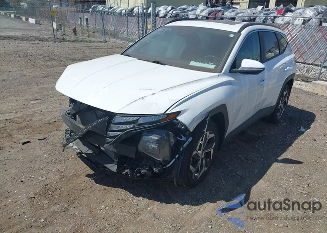 5NMJFCAE1PH291889: 42108252