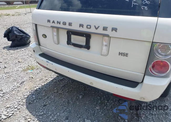 SALMF15438A287558: 42109756