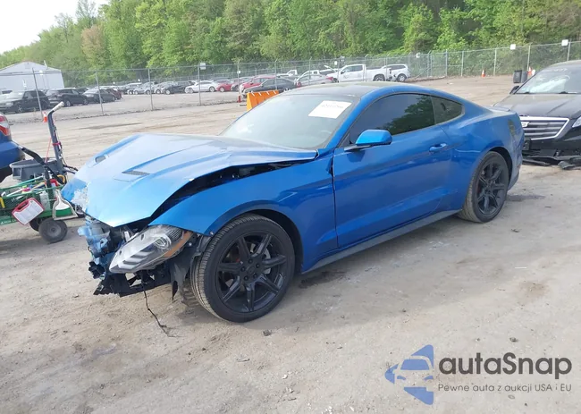 1FA6P8TH8L5113987: 42110206