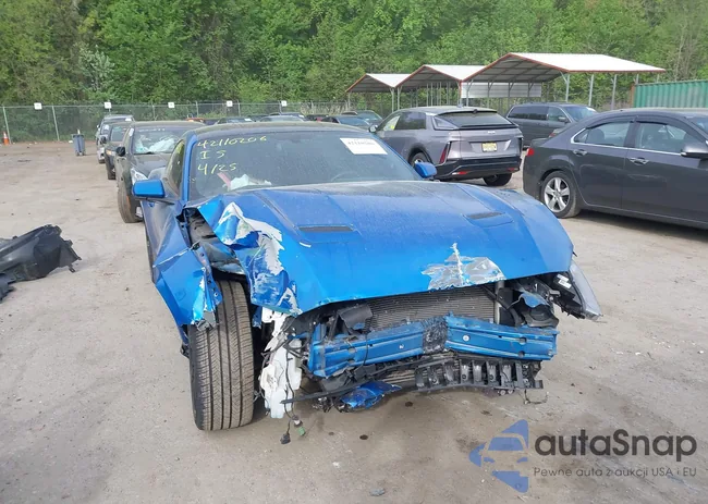 1FA6P8TH8L5113987: 42110206