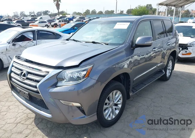 JTJBM7FX7K5212004: 42111073