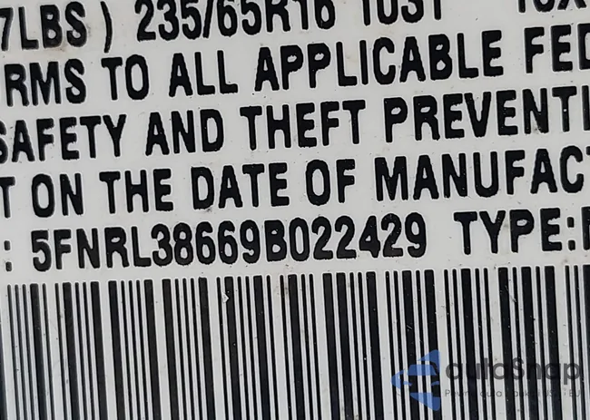 5FNRL38669B022429: 42111419