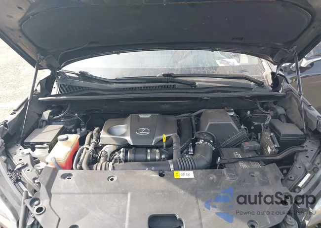 JTJYARBZ1J2097504: 42112871