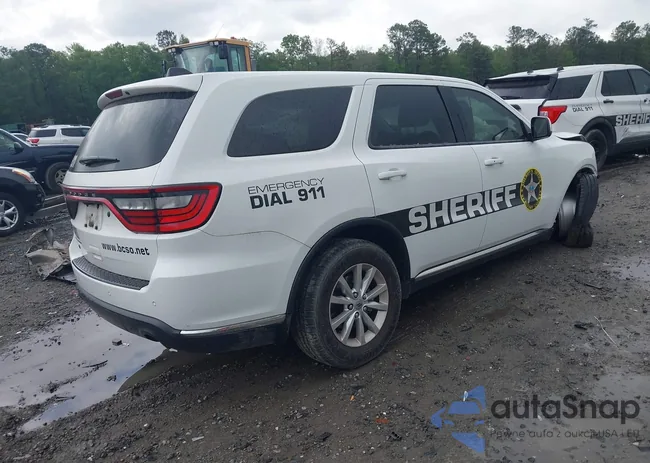 1C4SDJFT4LC301863: 42113324