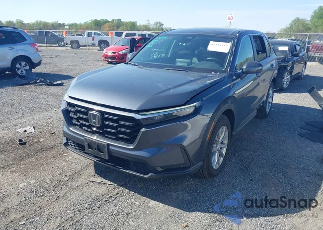 2HKRS4H79SH431503: 42113417