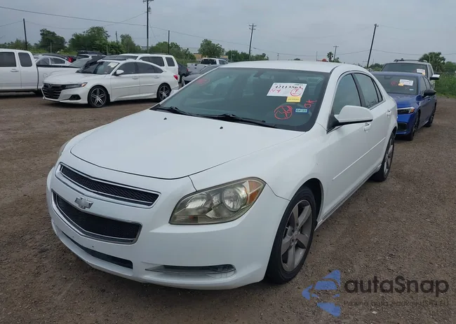 1G1ZC5EUXBF204188: 42113563