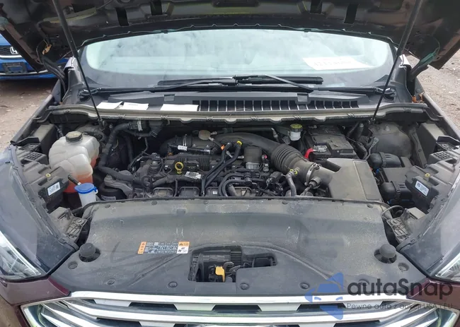 2FMPK4K99MBA41965: 42114607