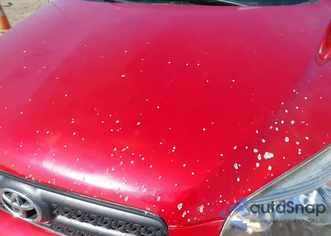 JTMBD32V565000045: 42114888