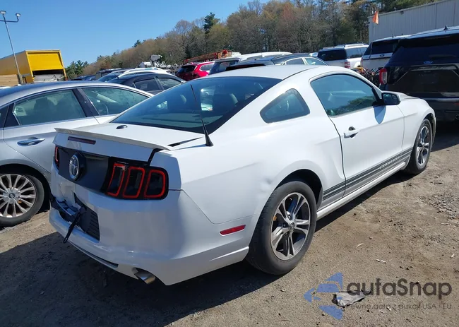 1ZVBP8AM5E5289789: 42115840