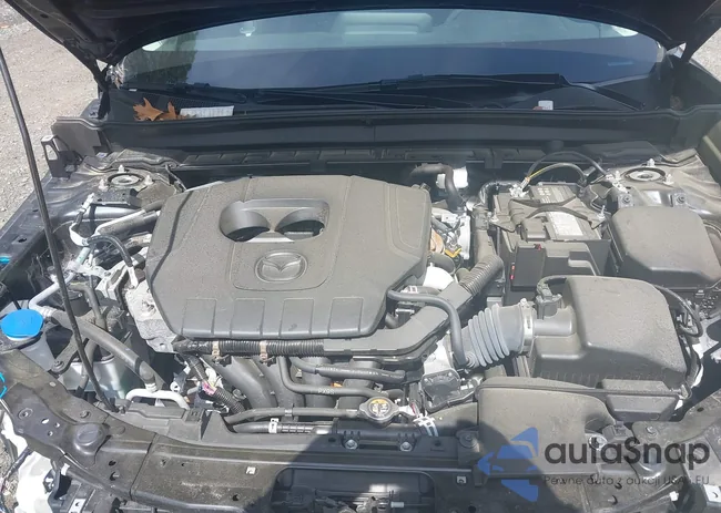 3MVDMBAM2RM627522: 42117647