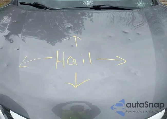 KNMAT2MT4KP500278: 42117663