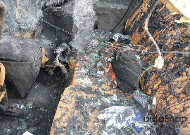 JM1BL1UG4B1495569: 42118018