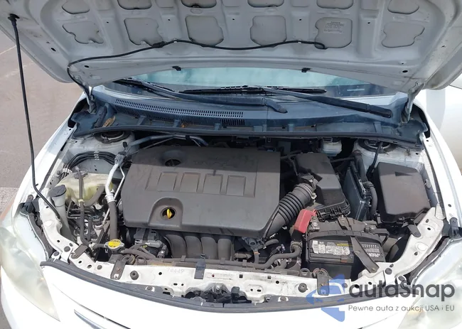 2T1BU4EE9DC982034: 42117227