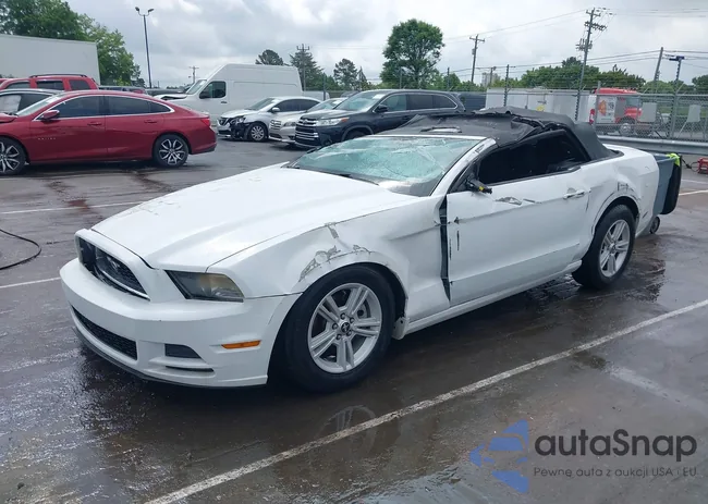 1ZVBP8EM2E5292126: 42117315