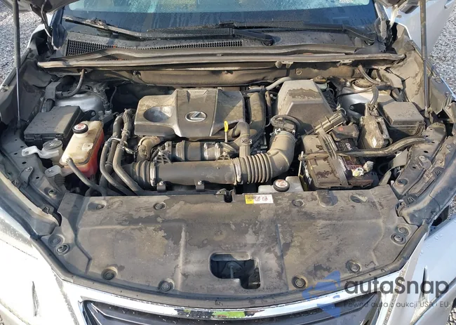 JTJYARBZ4H2054768: 42117553