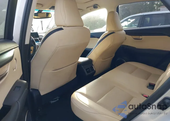 JTJYARBZ4H2054768: 42117553