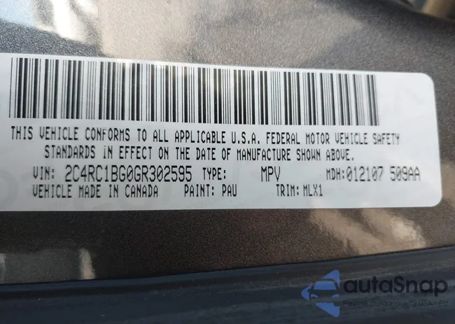 2C4RC1BG0GR302595: 42118694