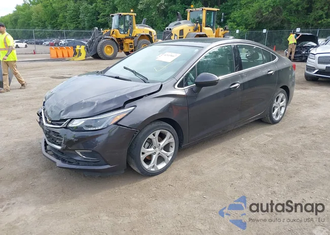 1G1BF5SM2H7254518: 42119667