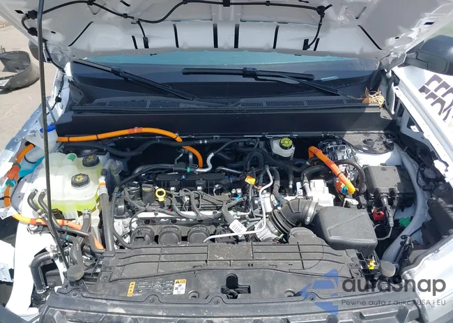 3FTTW8A33RRA44705: 42119896