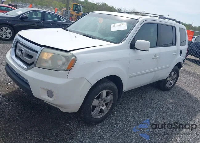 5FNYF4H52AB040849: 42120054