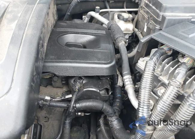 2GNALDEK4C6380010: 42119562