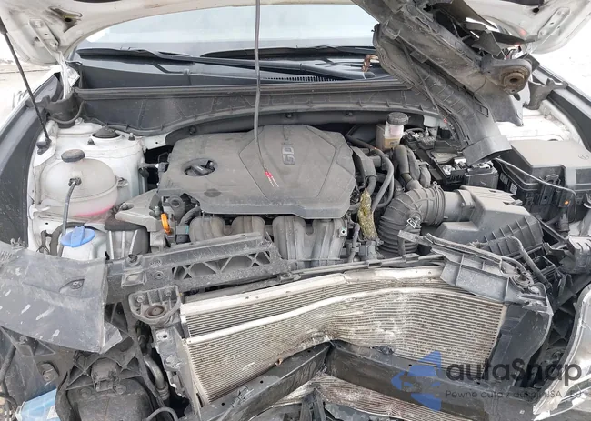 5NMJFCAE2PH188075: 42121073