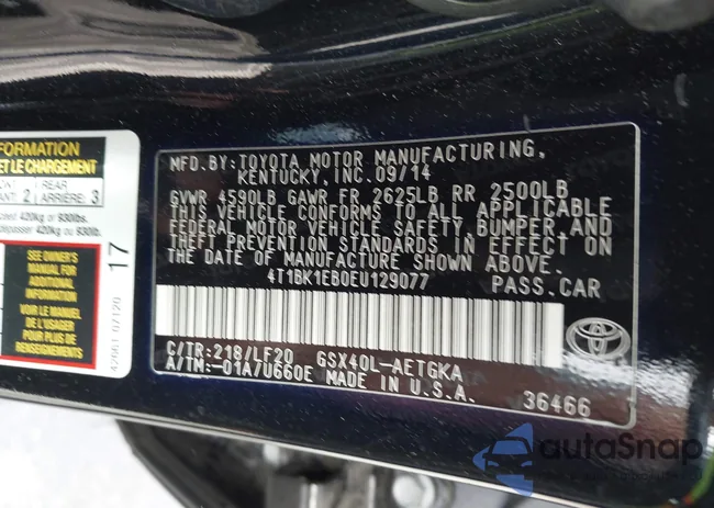 4T1BK1EB0EU129077: 42121674