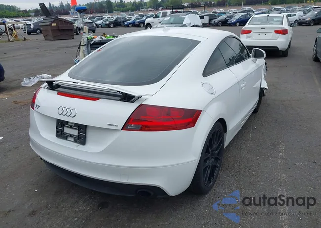 TRUBFAFK0C1008531: 42121432