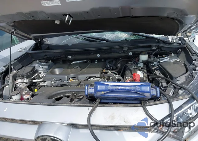 2T3P1RFV3MC167877: 42122878