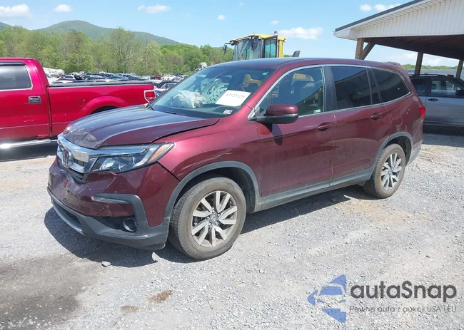 5FNYF6H50LB028925: 42123129