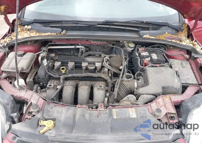 1FADP3F29EL307332: 42122175