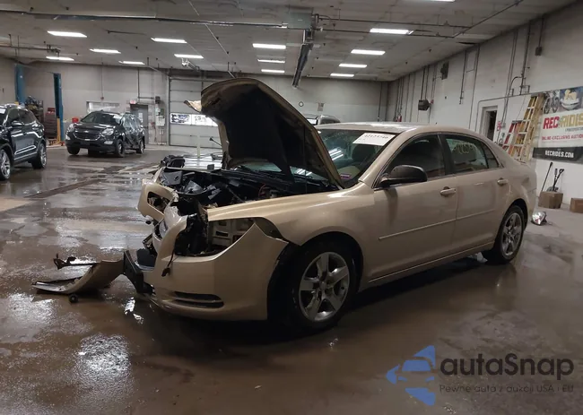 1G1ZB5E17BF226139: 42123740