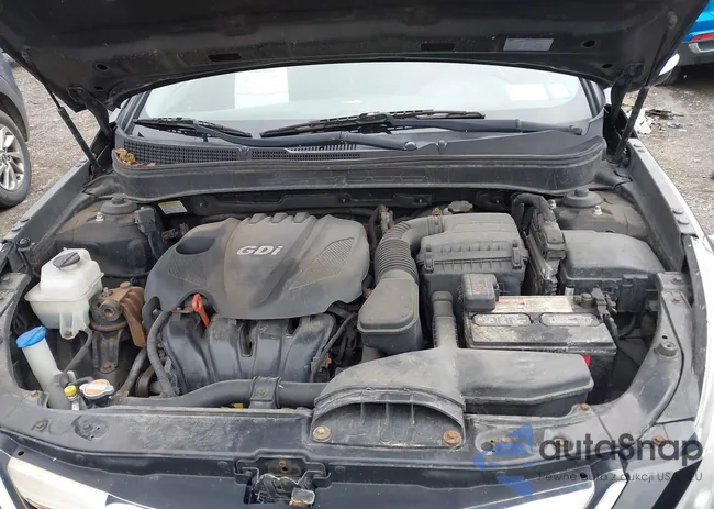 5NPEC4AC2CH362951: 42123854