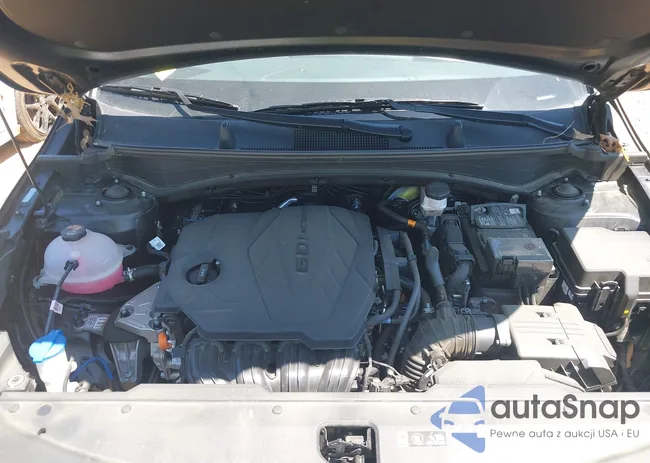 5XYK33DF6RG190233: 42123901