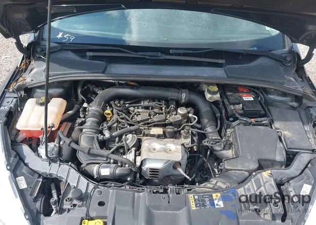 1FADP3FE7JL210828: 42124000