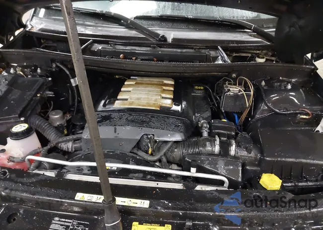 SALME15466A230819: 42123446