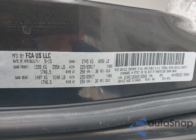 2C4RC1BG0GR135509: 42124670