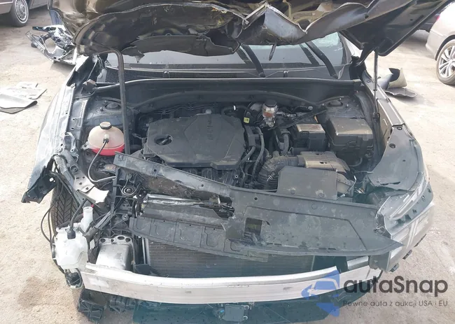 5NMS3DAJ2MH365039: 42124940