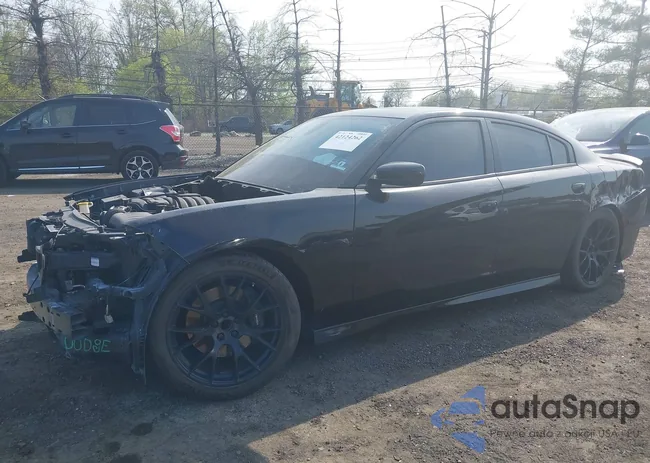 2C3CDXGJ3MH579676: 42124262