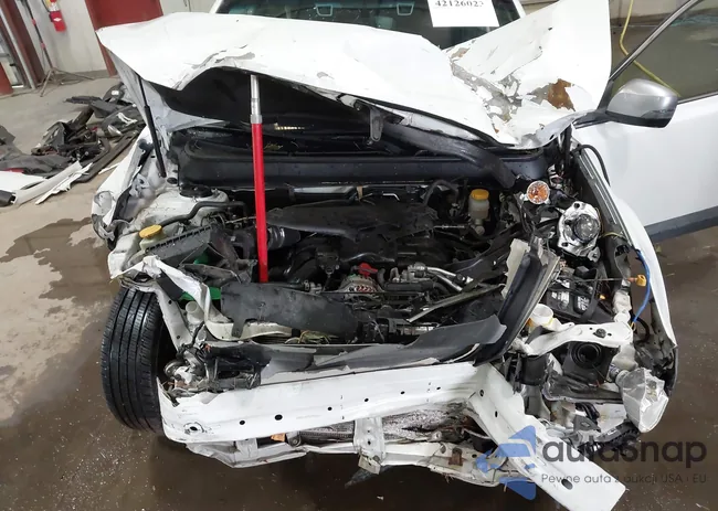 4S4BRDPC6E2255250: 42126023