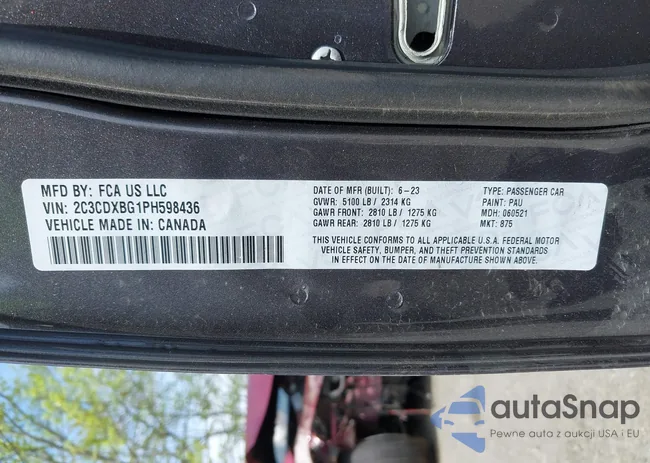 2C3CDXBG1PH598436: 42126866