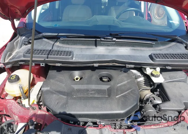 1FMCU0J91JUD40746: 42127816