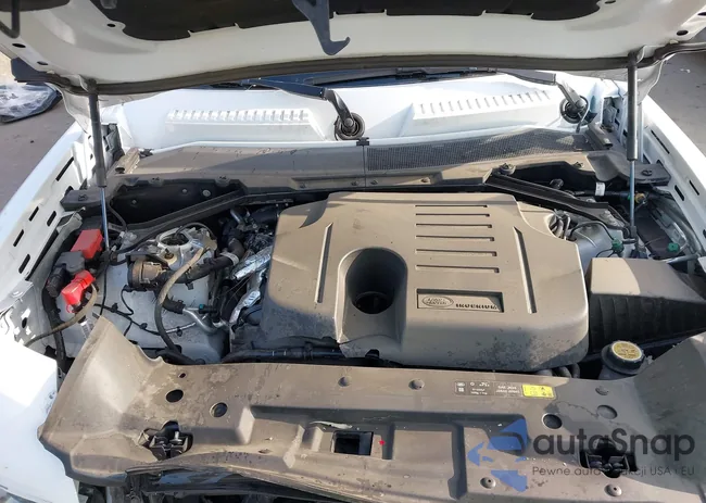 SALEPEEU0P2120981: 42127885