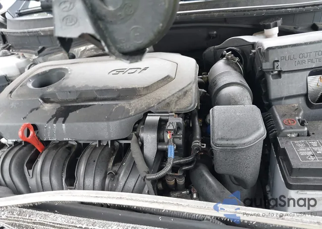 5NPE24AF7HH463231: 42128248