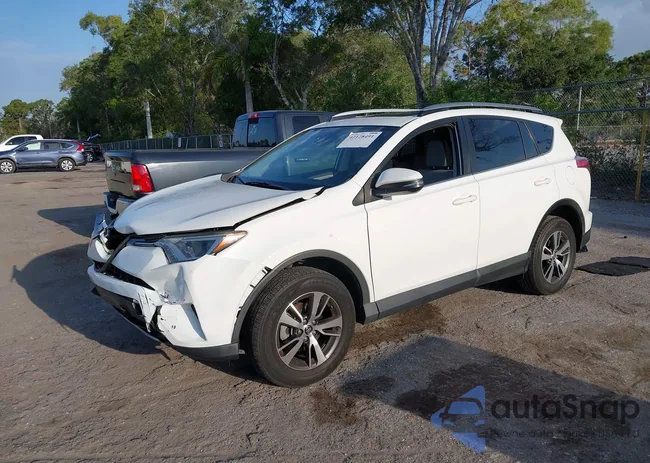 JTMWFREV1JJ200110: 42128491