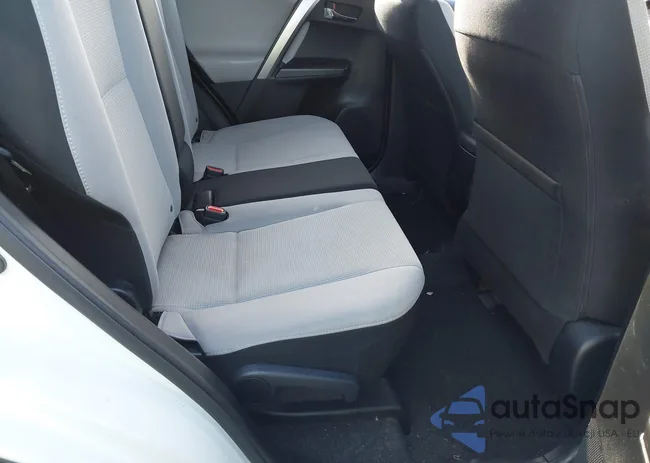 JTMWFREV1JJ200110: 42128491