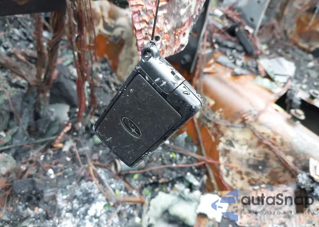 4S4BRCSC9D3246861: 42129863