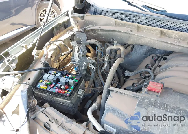 1GNSKFKDXPR264085: 42129377