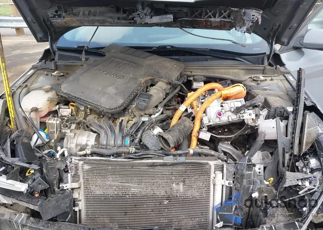 KMHLM4AJ6PU033809: 42130567