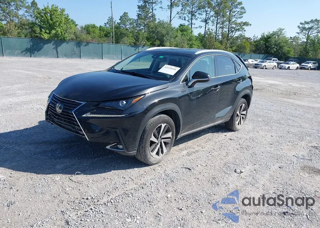 JTJYARBZ5J2113798: 42130441